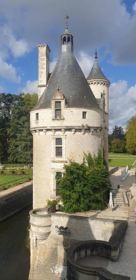 La Petite Jucherie Saint-Hippolyte  Exterior foto